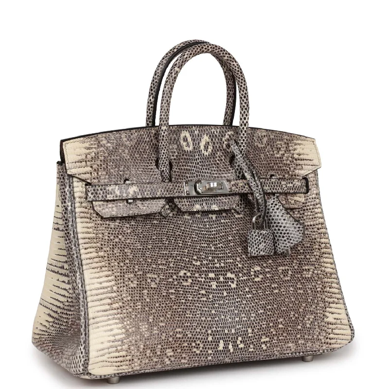 Hermes Birkin 25 Ombre Shiny Salvator Lizard Palladium Hardware